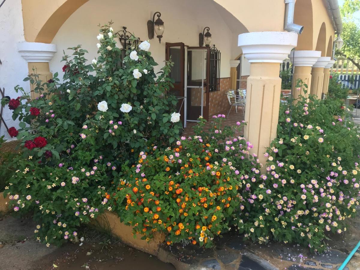 Finca La Rosalia Setenil De Las Bodegas 外观 照片